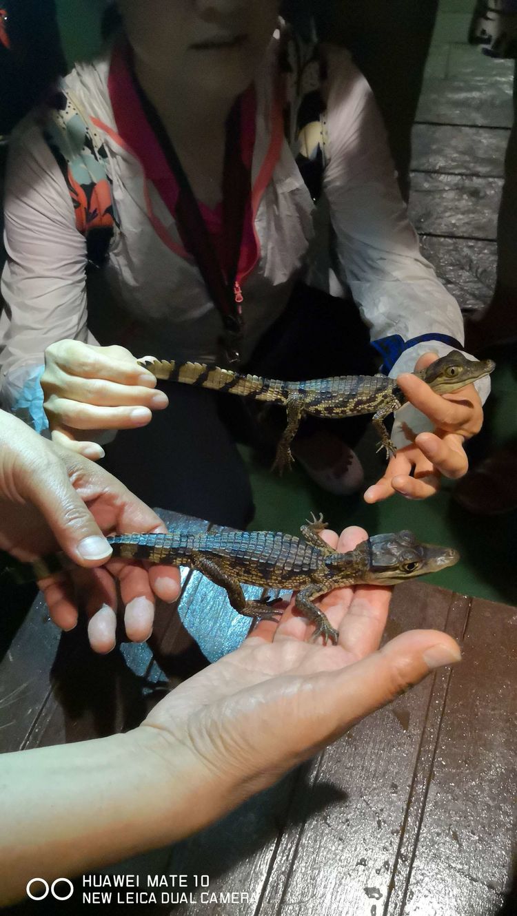 南美之旅总结篇,南美之行结束感悟