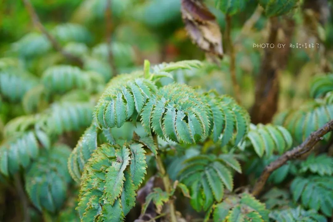 塔斯马尼亚幽灵之旅，夜访世界尽头190年历史闹鬼老监狱