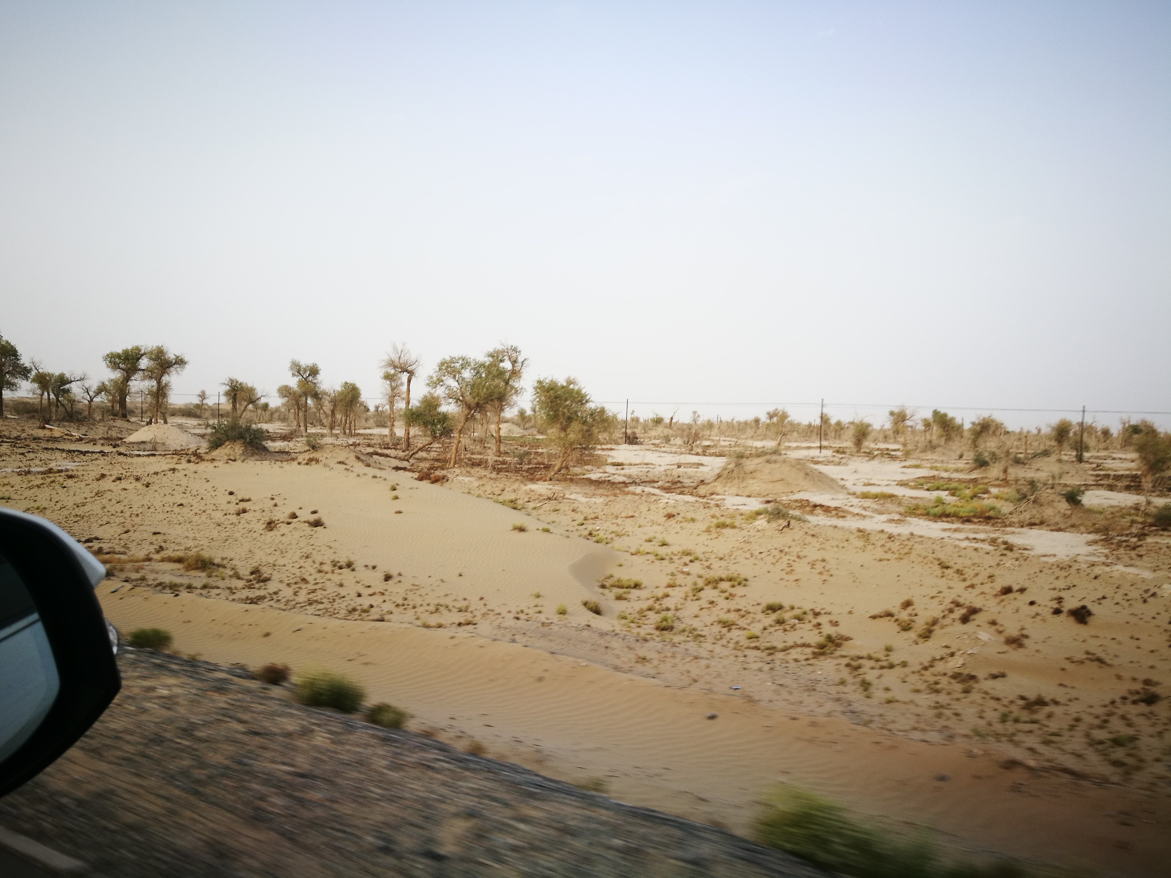 13000公里新手独驾*疆新**第23天——穿越塔克拉玛干沙漠，遭遇陷车