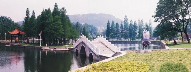 武汉最牛逼的大学有哪几所,武汉公认最好的十所大学