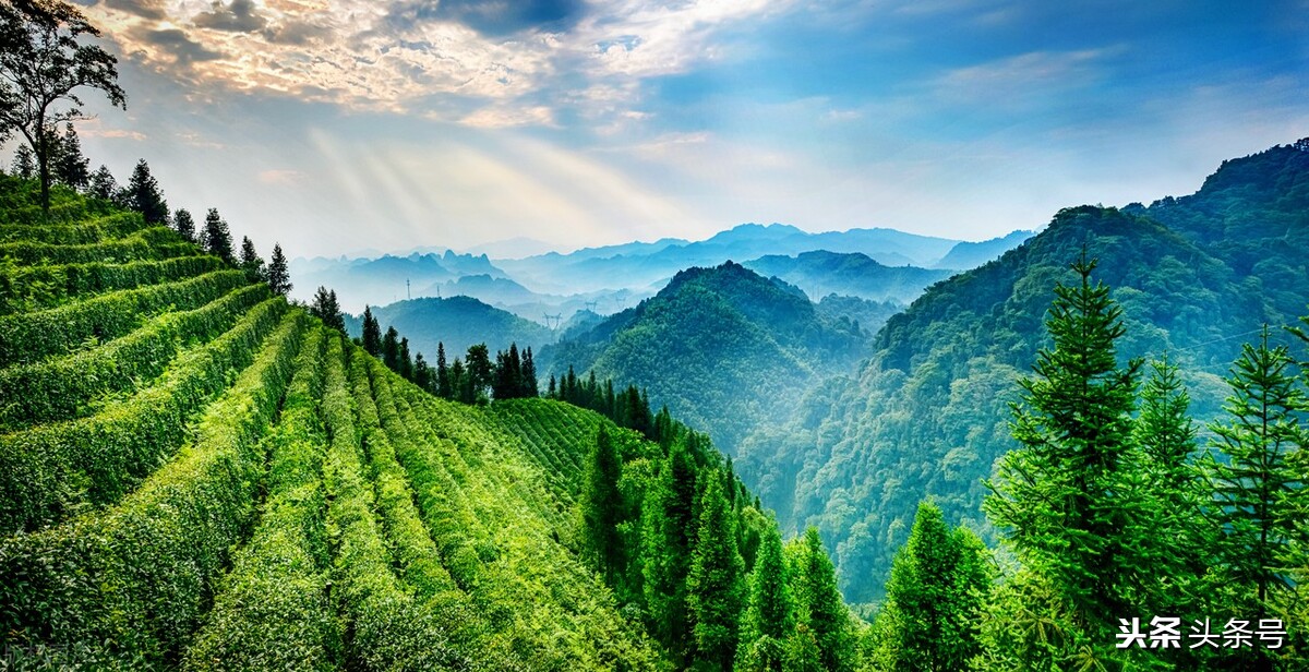 沅陵的人沈从文,沈从文湘西凤凰人