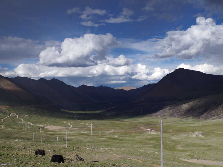 王小花的全部作品,王小花攻略