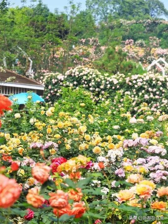 这才是9月最值得去的地方,4月最值得去的地方