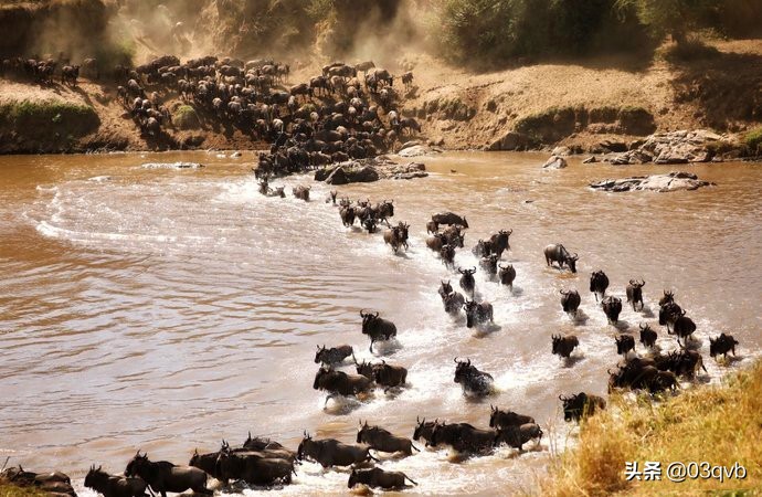 鏈涙棤杈归檯鐨勬捣,鏈涙棤杈归檯