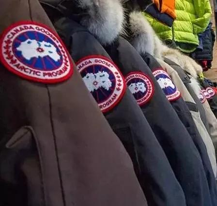 加拿大鹅烂大街,加拿大鹅排队