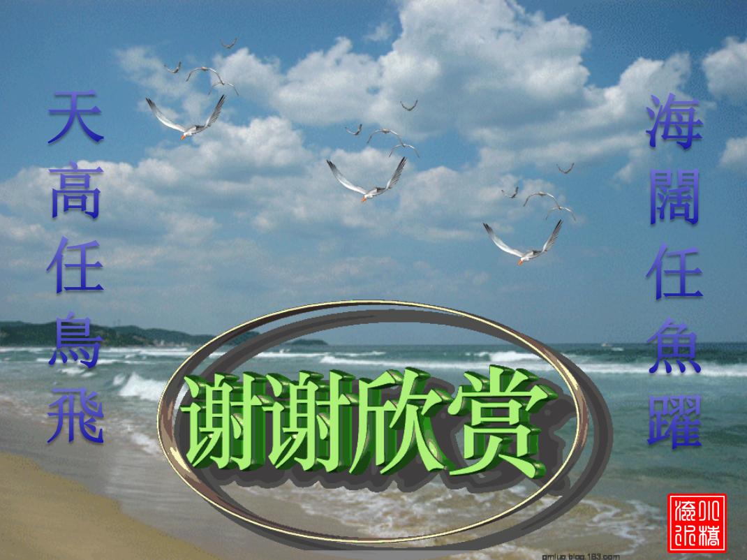 期货寻找趋势的视频,期货波段交易的最佳时机