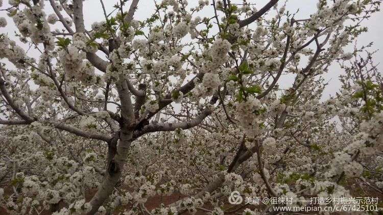 大美徂徕山,徂徕山美景如画