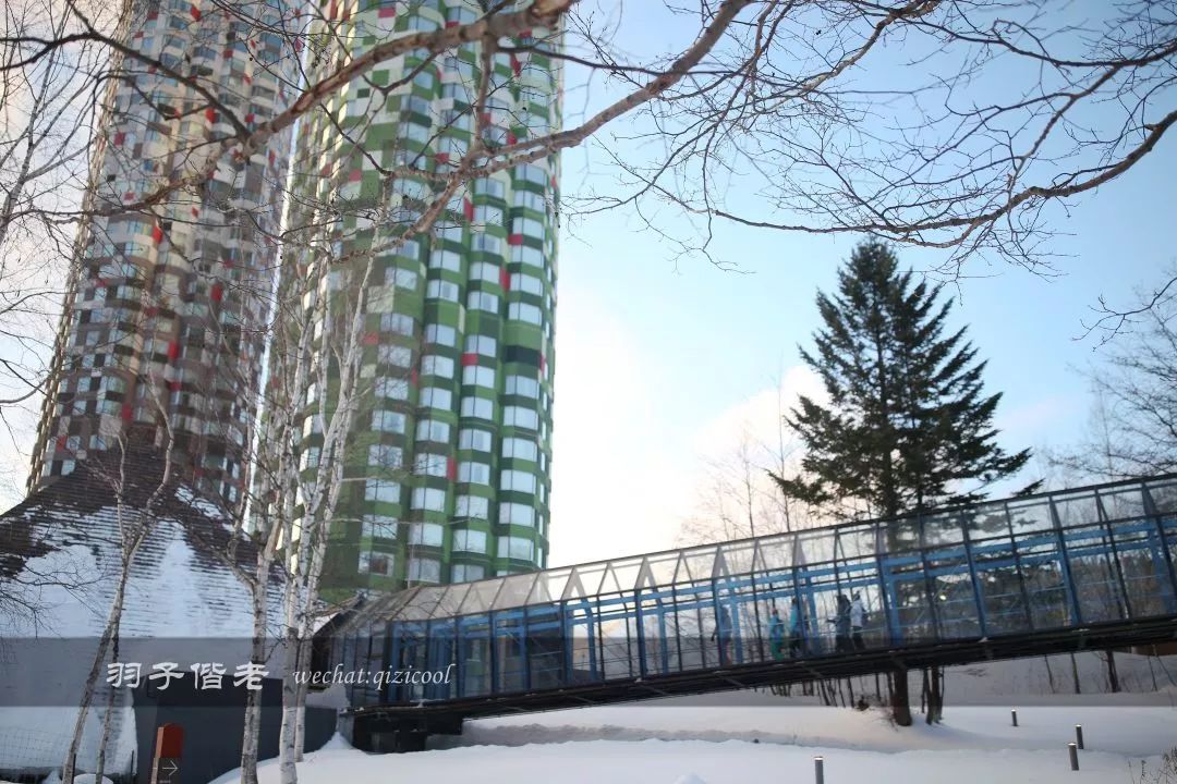 老实说,这一趟北海道就是为了拍好看的照片去的