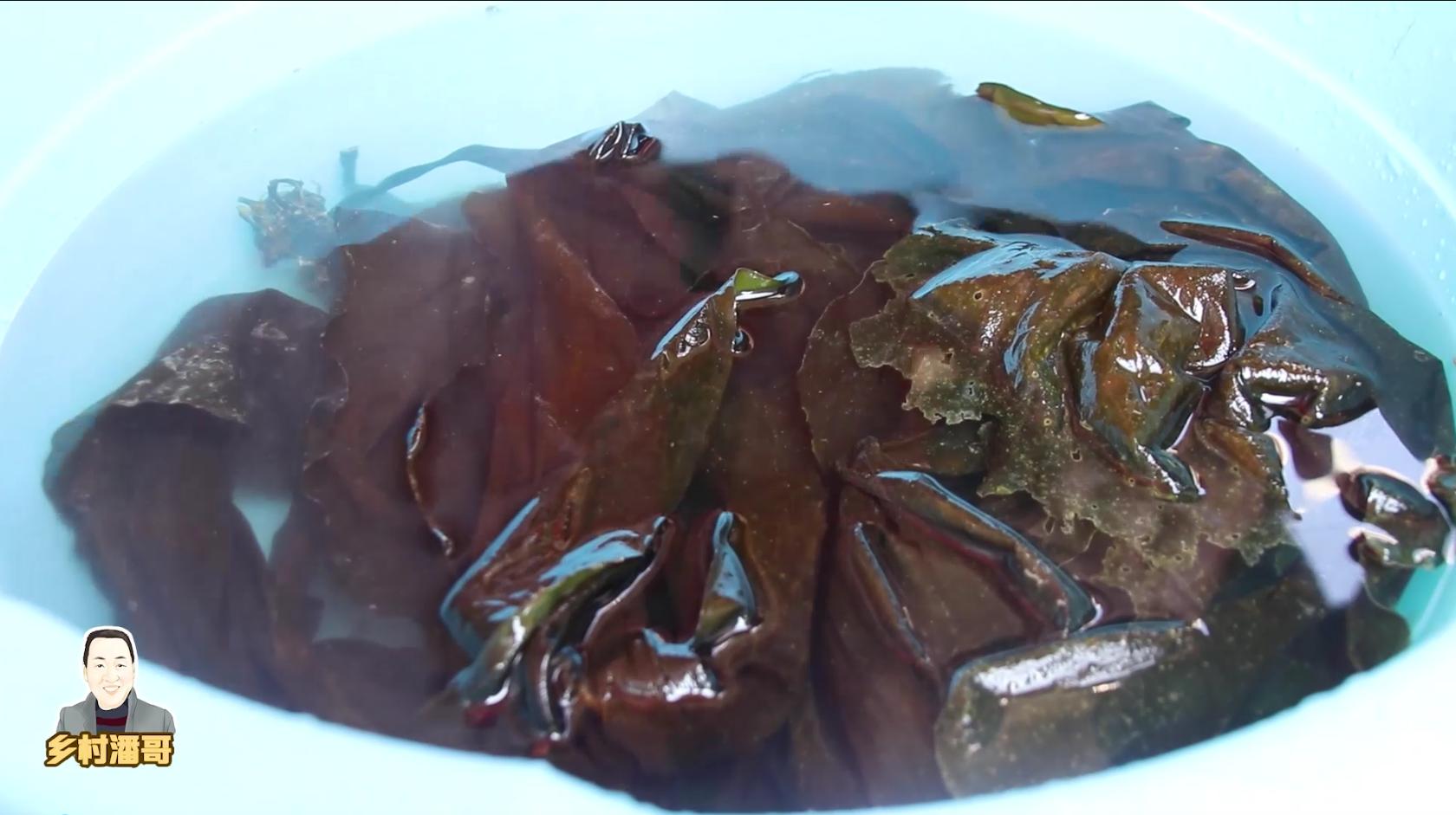 酸辣凉拌海带莲藕,酸辣凉拌海带的配料