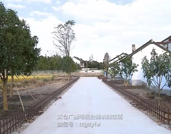 看看四十年的农村你还有印象吗,四十年前的浏河