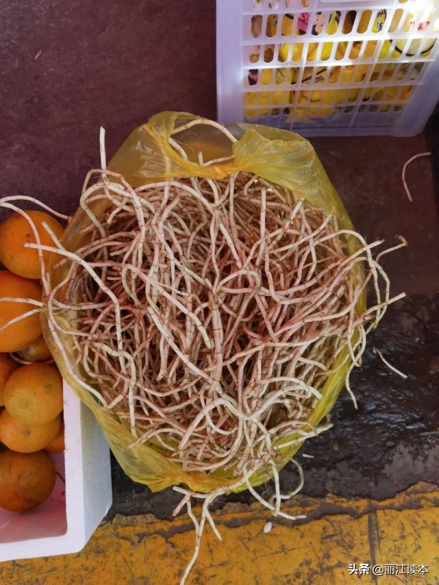 瓜瓜豆豆的视频,瓜瓜豆豆视频