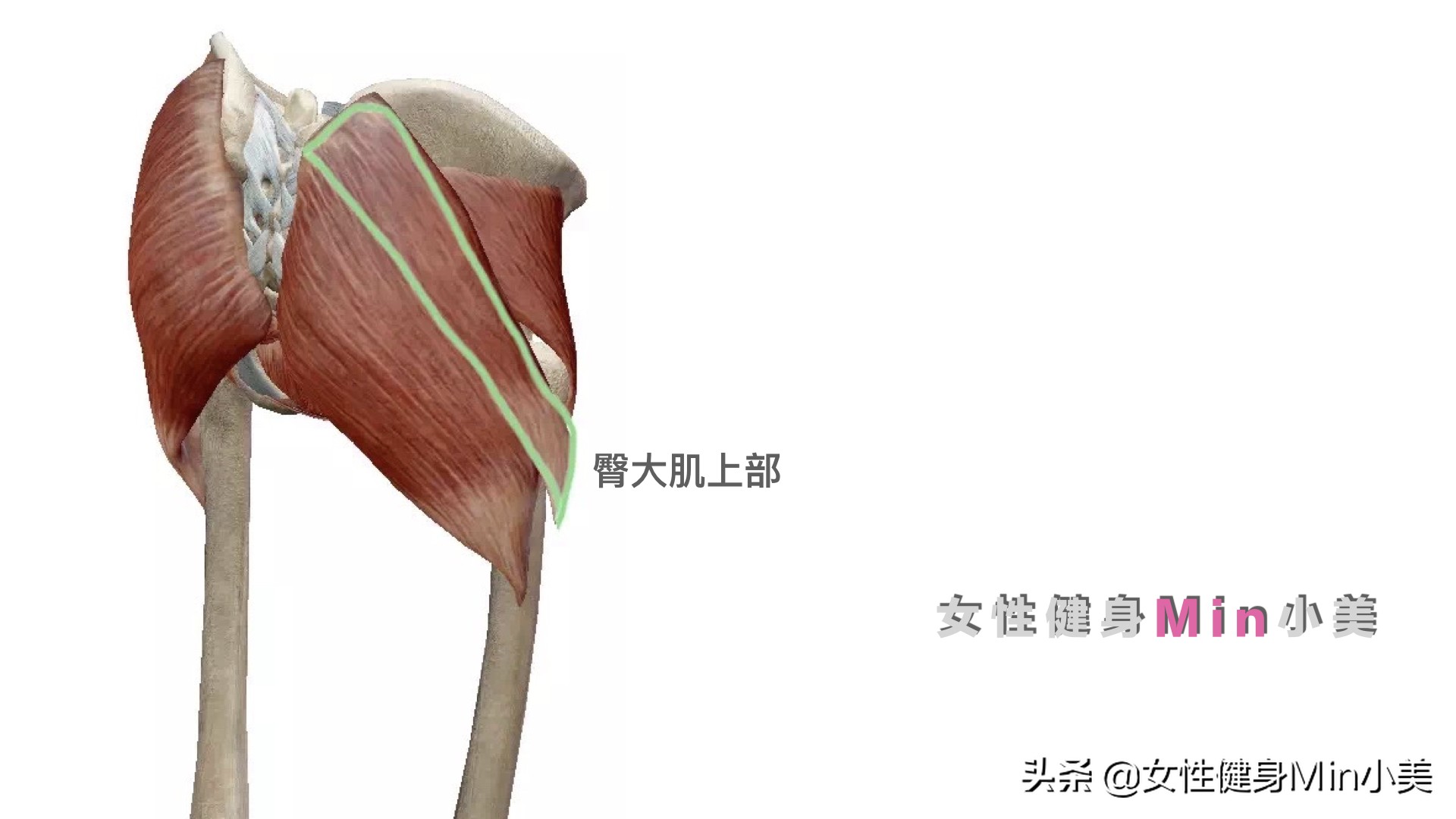 改善臀部臀侧肌凹陷最有效方法,臀中肌两侧凹陷站着练臀