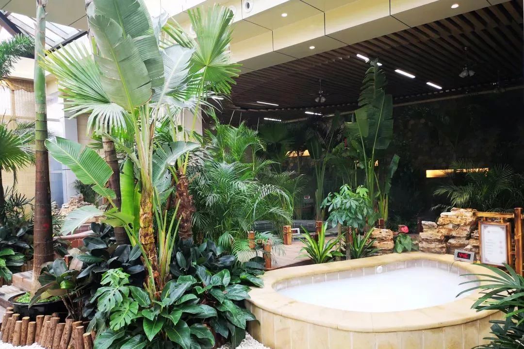 【FENG荐】涞源华中小镇春节钜惠，即刻享受健康冬季，迎接美好新春！