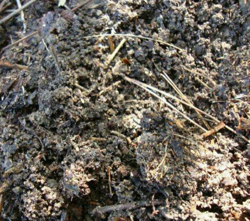 教爱养花的你如何自制营养土,养花自制营养土制作简单肥力更好