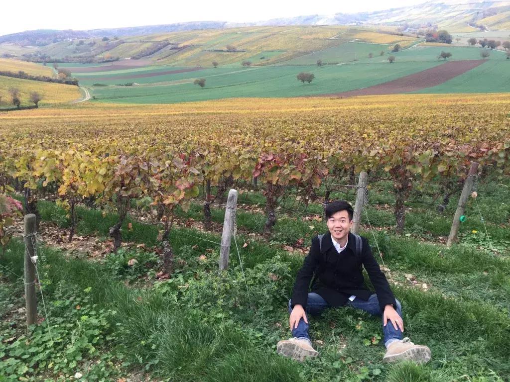 电脑高手WSET四级得主李斯阳William：推荐一个强大的APP