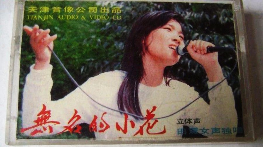 曾经乐坛的当红一姐,曾经是内地的歌坛一姐