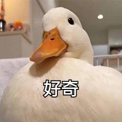 白色羽绒服真的难驾驭吗,5个小技巧让你的羽绒服不再普通