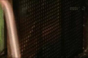 把锁锁上了怎么弄下来,锁怎么样是锁上的