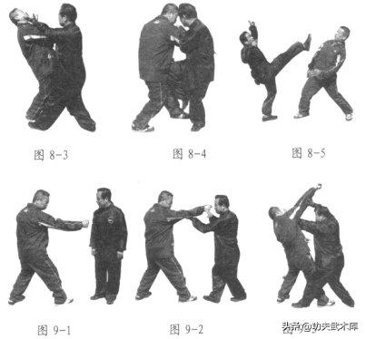 八卦掌实用技法,八卦掌掌法应用技巧