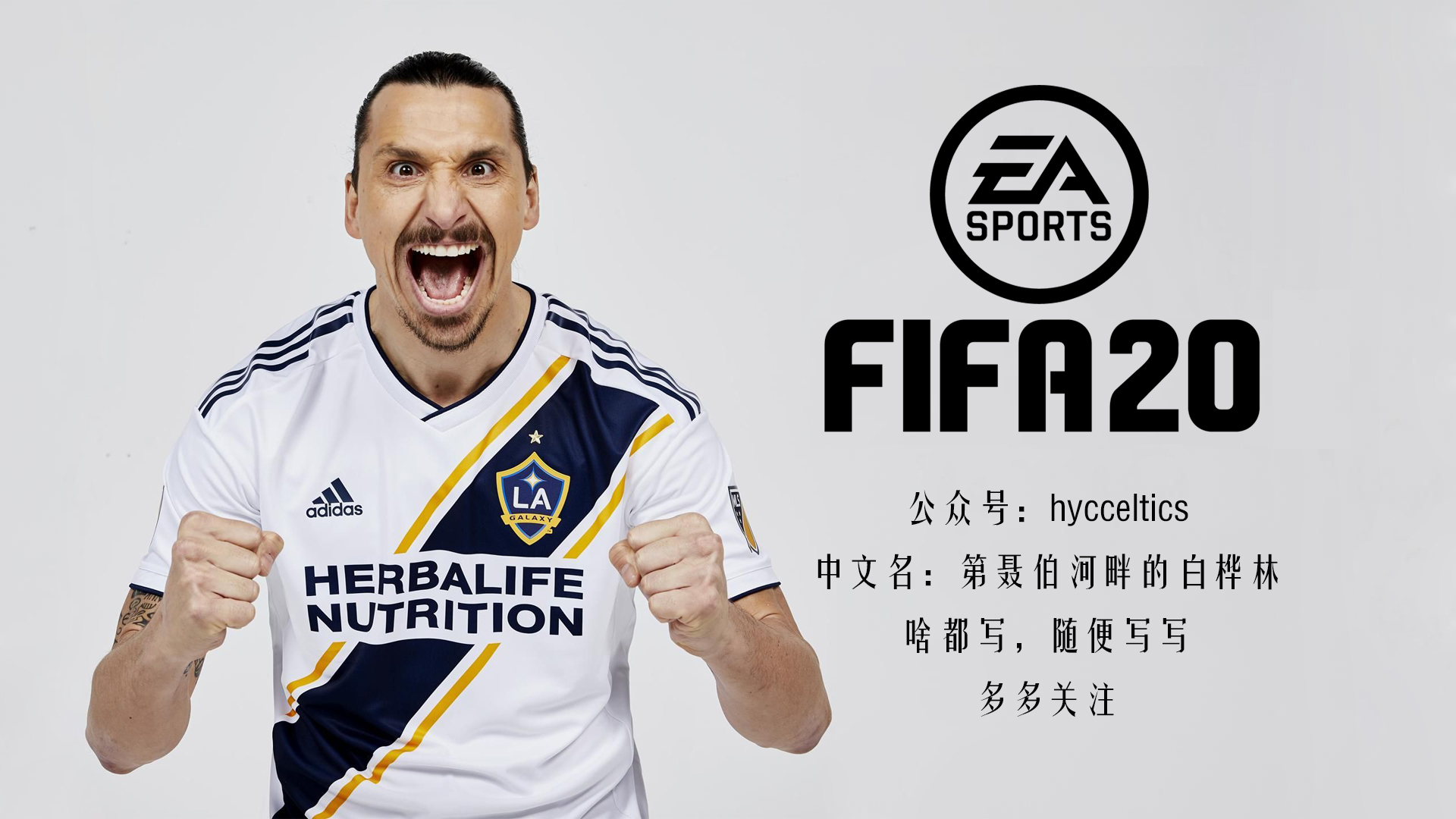 fifa2018职业生涯妖人推荐,fifa20十佳妖人
