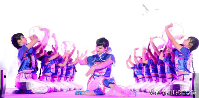 四川省托普信息职业技术学院单招,四川省托普学院单招考试大纲