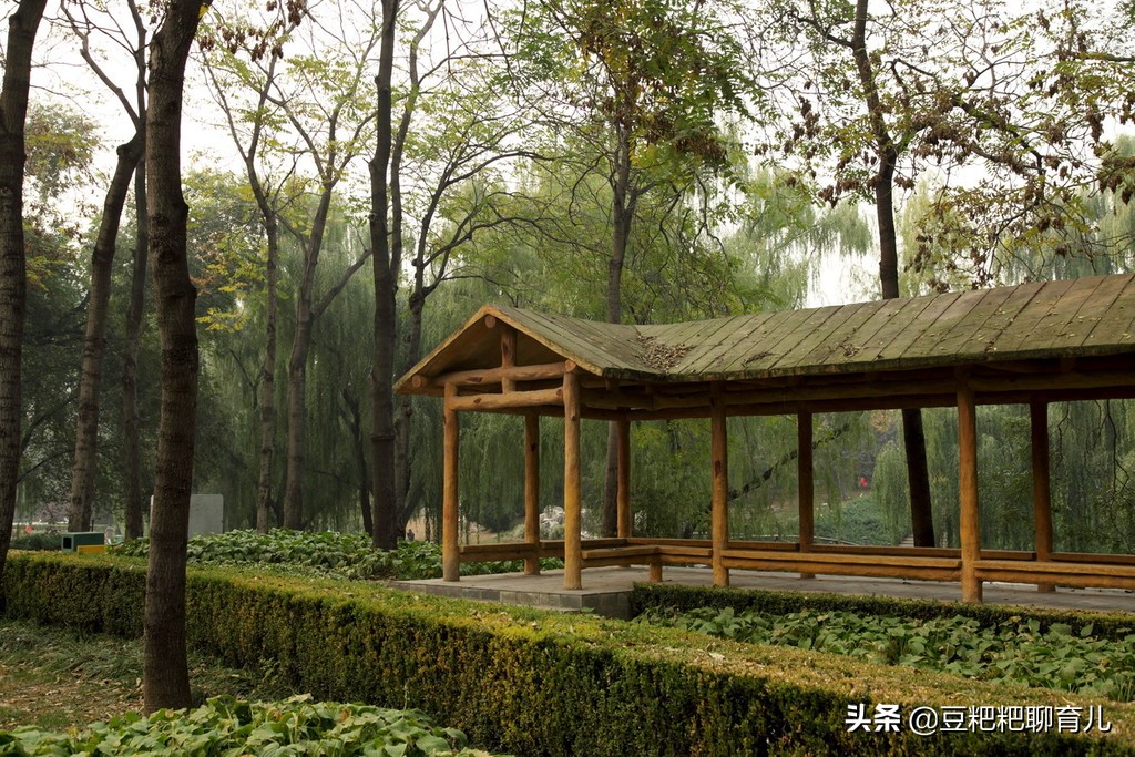 亲子游玩动物园地点推荐,假期亲子去哪玩