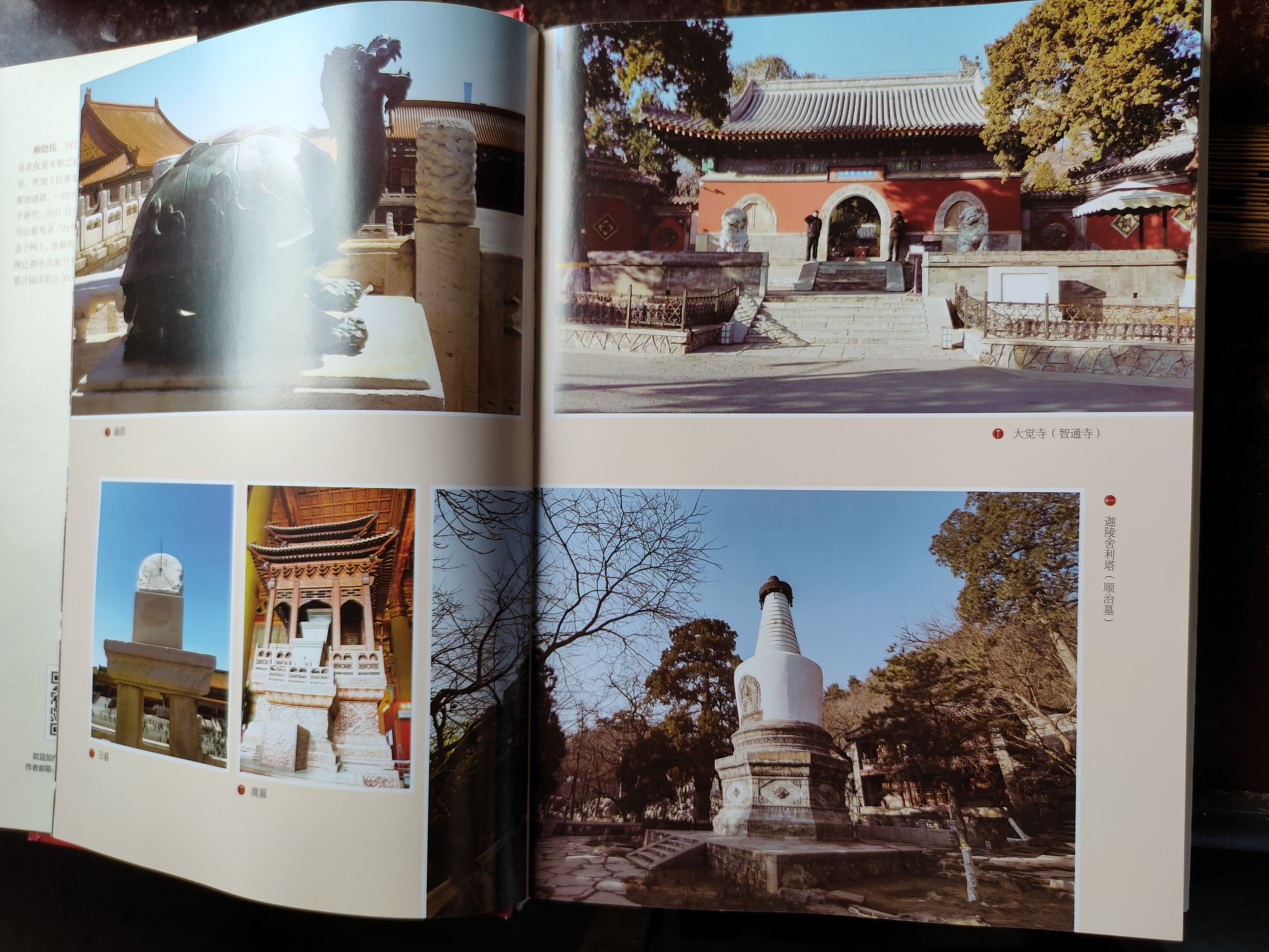 贾宝玉祭奠金钏儿题词,贾宝玉与金钏的故事