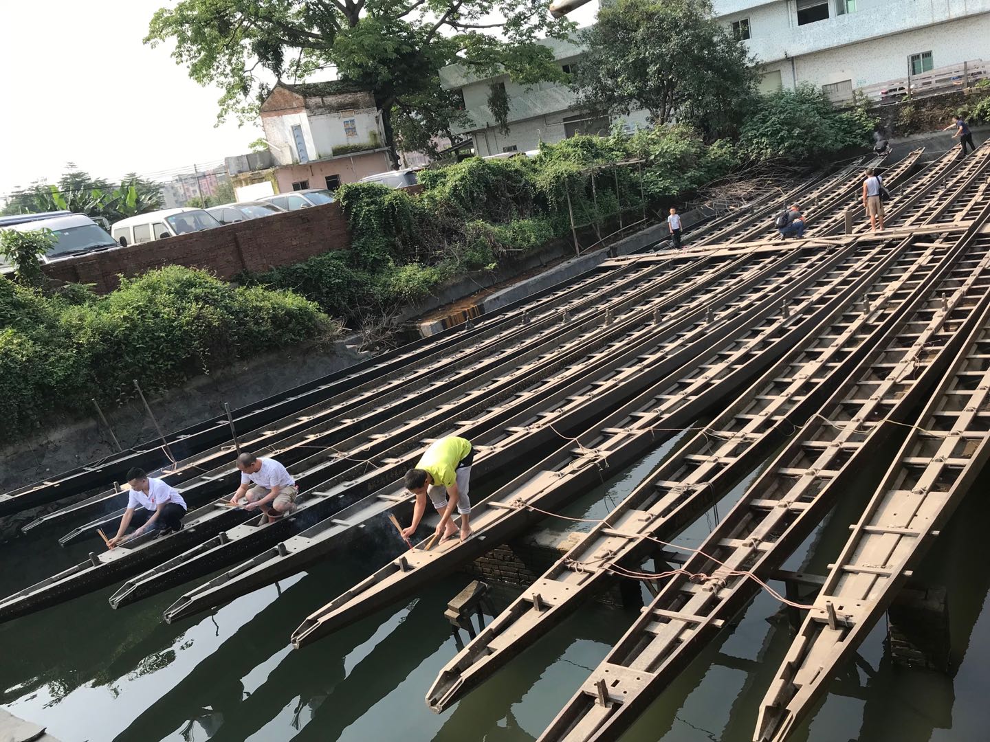 杨箕龙舟,杨箕村龙舟