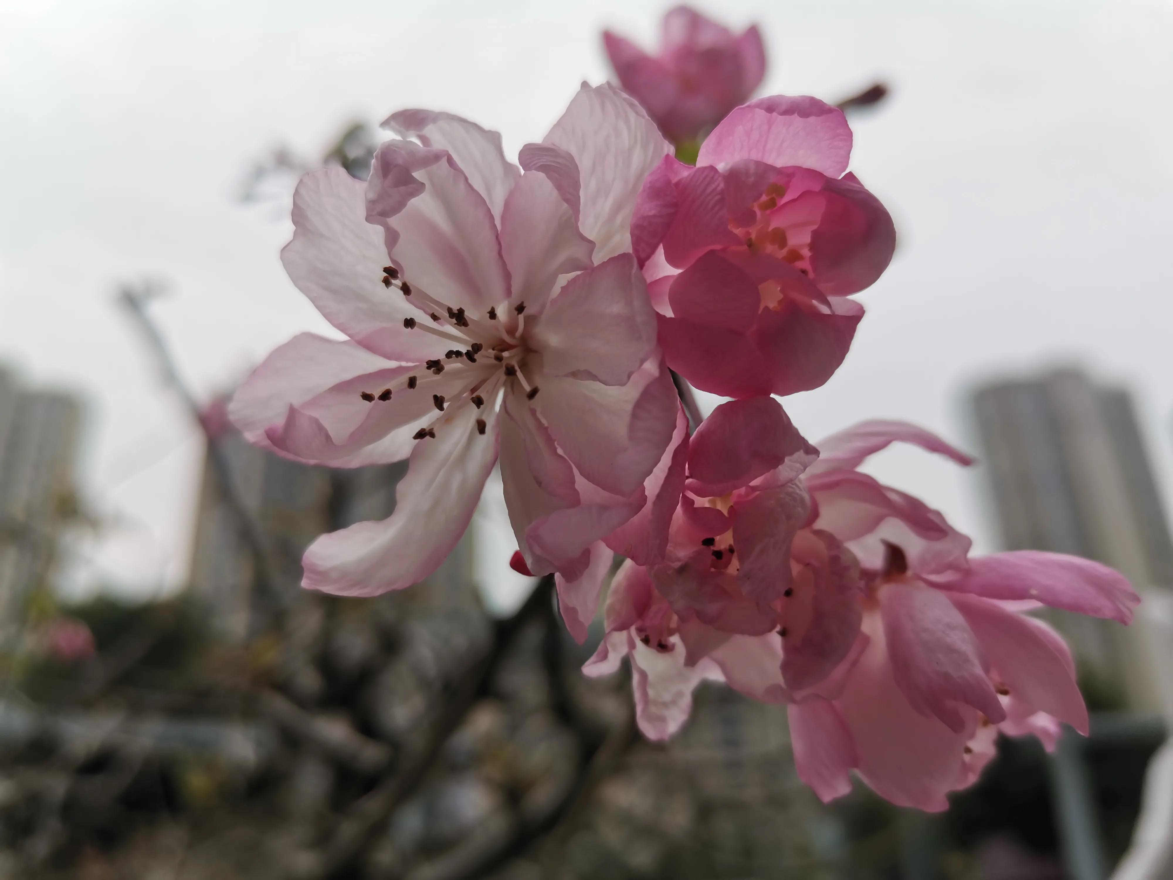 情感︱写给感伤的阿勇，2020，我们可以再见了！