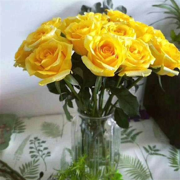 怒放的生命原唱完整版,怒放的生命