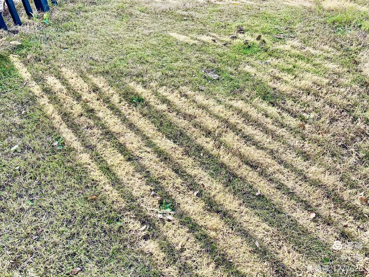 洛阳市宜阳凤凰岭射箭,宜阳县凤凰岭体育基地