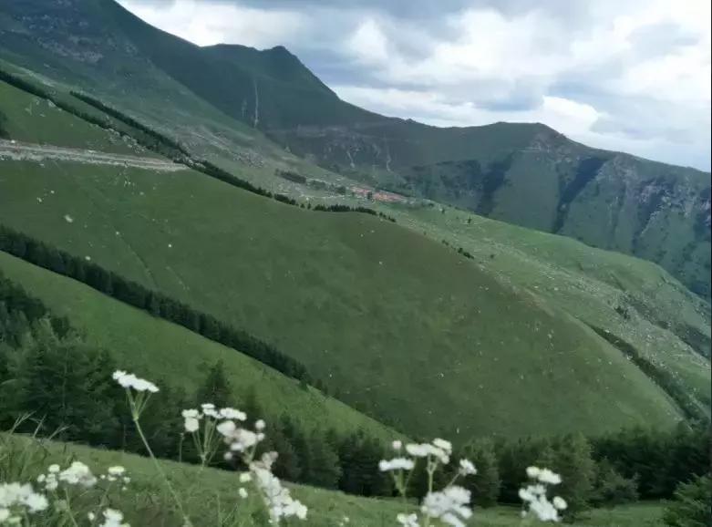 风里来雨里去上海,风里来雨里去重庆