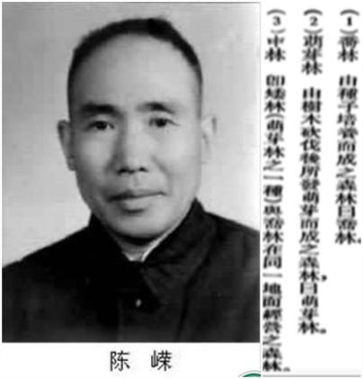 树种起源,次生林起源的特点