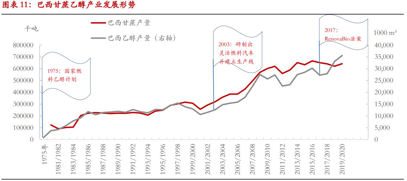 甘蔗生产乙醇还是生产白糖划算,甘蔗生产乙醇的利弊