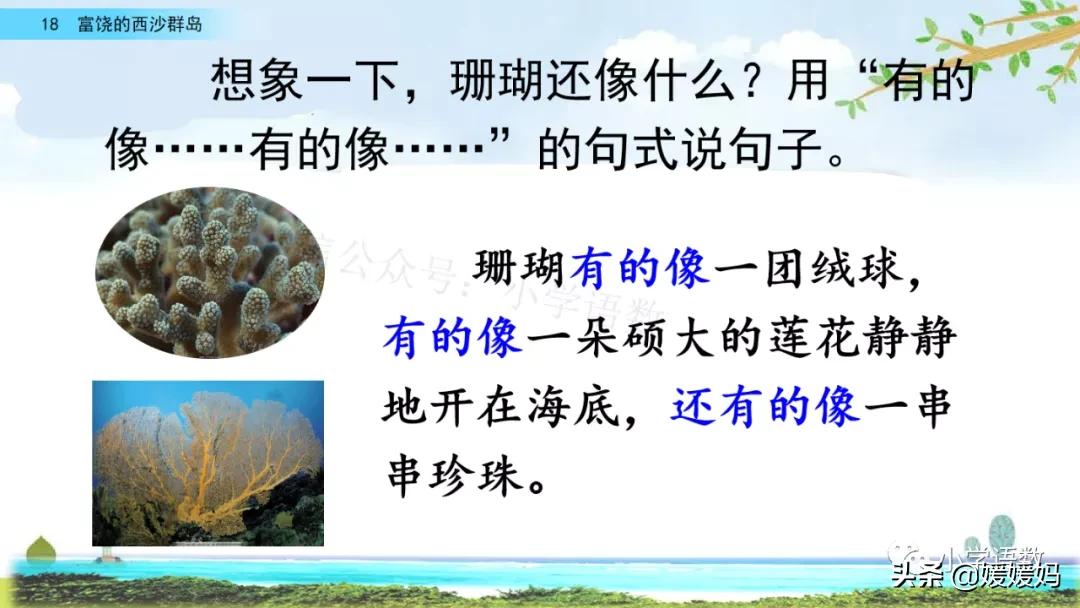 三年级第18课富饶的西沙群岛预习,3年级语文第18课富饶的西沙群岛