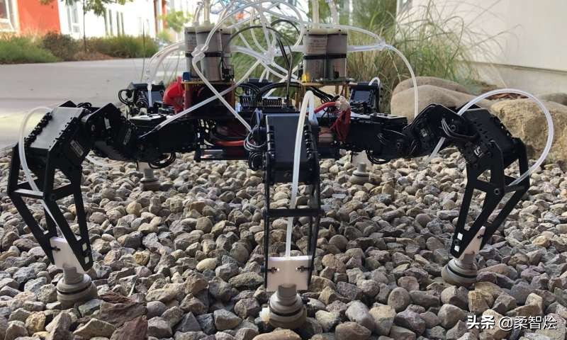 自适应多足机器人,能负重的仿生蜘蛛机器人