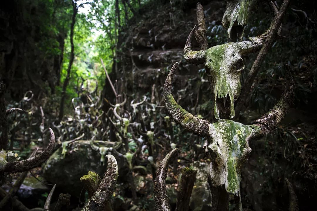 云舍结局,云舍最后的结局怎么样