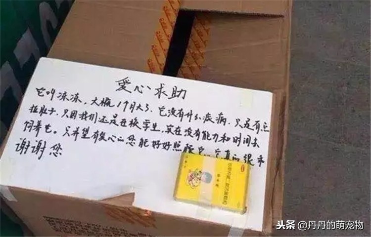 不要在宿舍养宠物,不要在寝室养动物