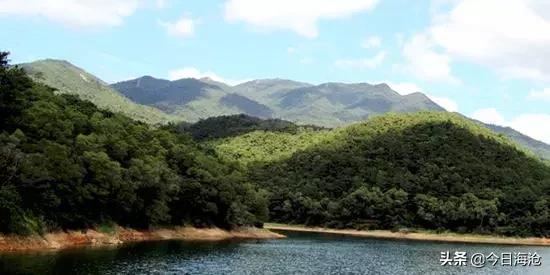 新年好,这里是海沧东孚!