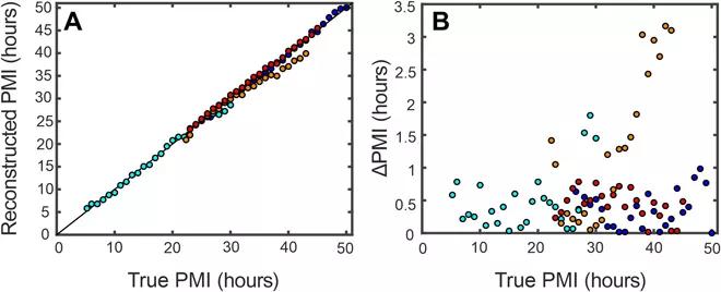 对外部数据3D建模，这个尸检算法把死亡时间预测误差缩小到38分钟