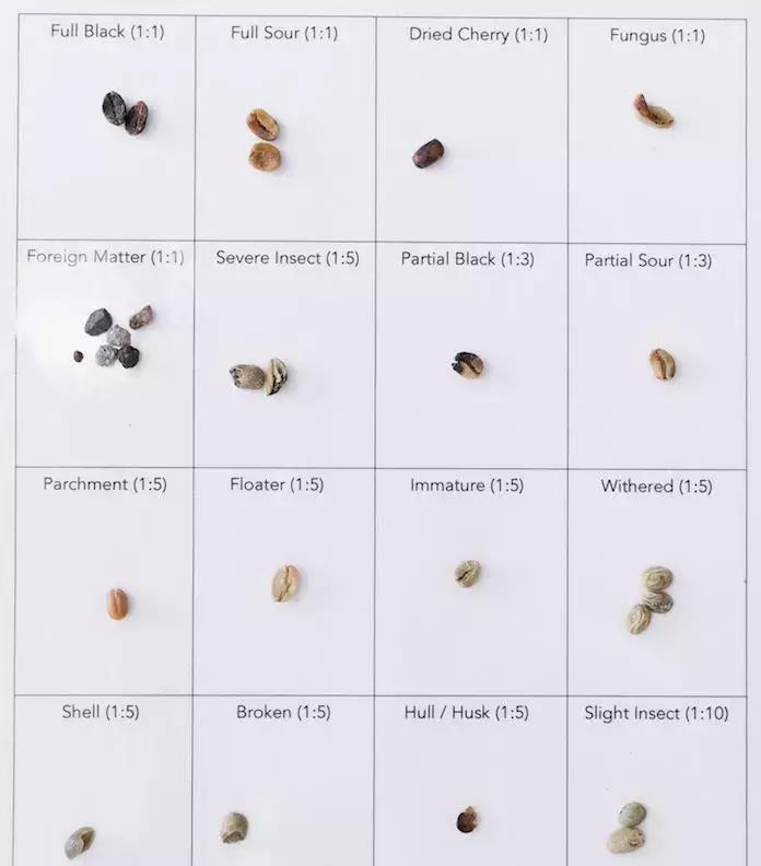 twoshot是什么咖啡,two到底是什么