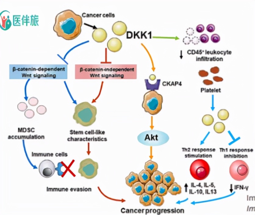 晚期胃癌her2阴性治疗方法,her2阳性胃癌一线治疗方案