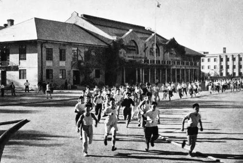 看了冬奥会感受,看了奥运会