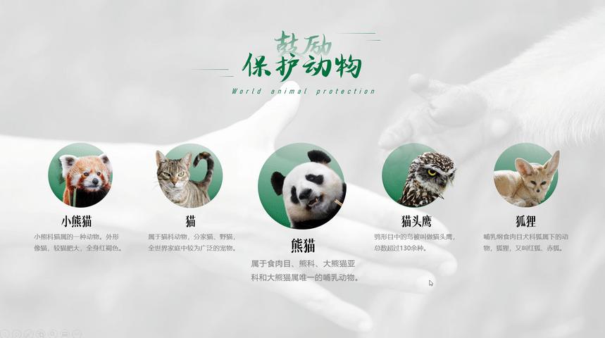 ppt排版设计技巧ppt制作培训教程,ppt优秀的图文排版案例