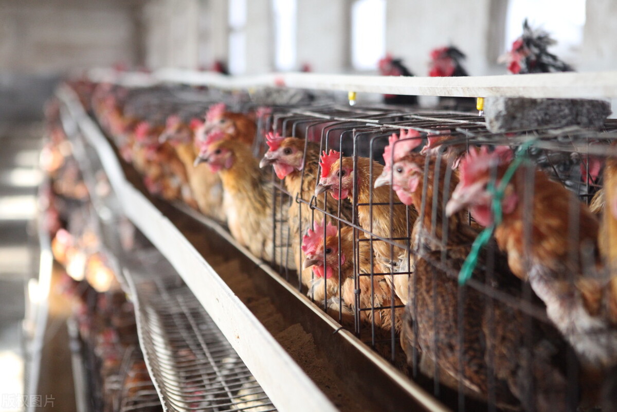 2022年黄冈市二季度集中开工项目,湖北黄冈二季度重大项目