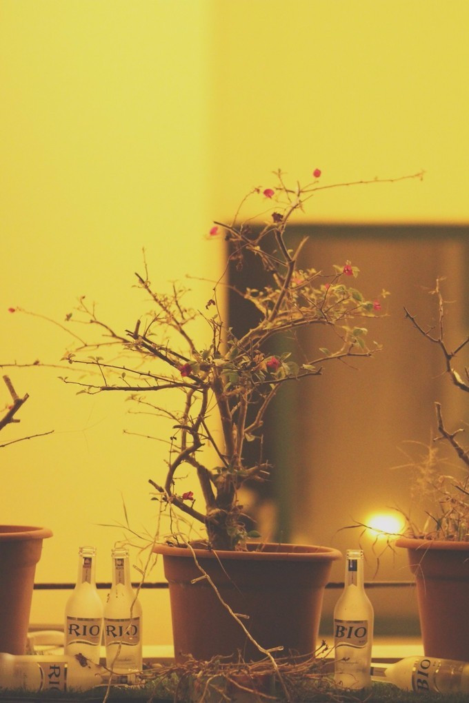 拥抱那片大海,拥抱这片海