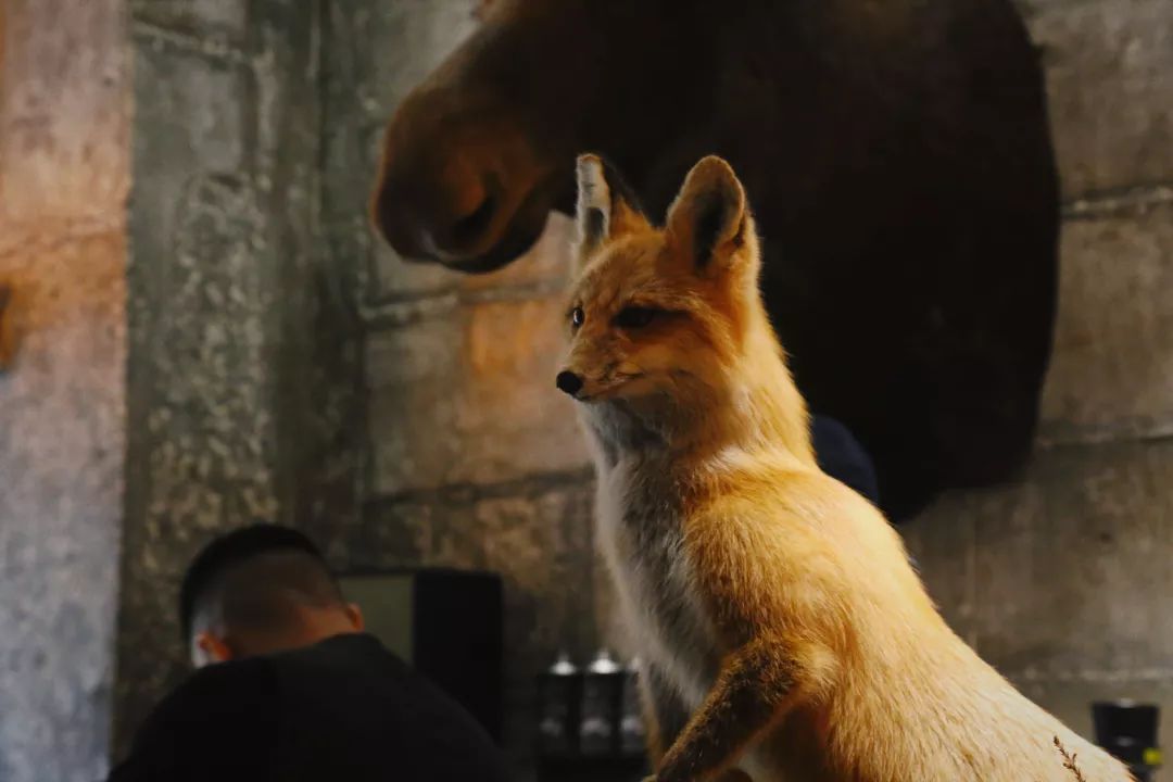 成都咖啡排名前十名,有趣的咖啡排名前十