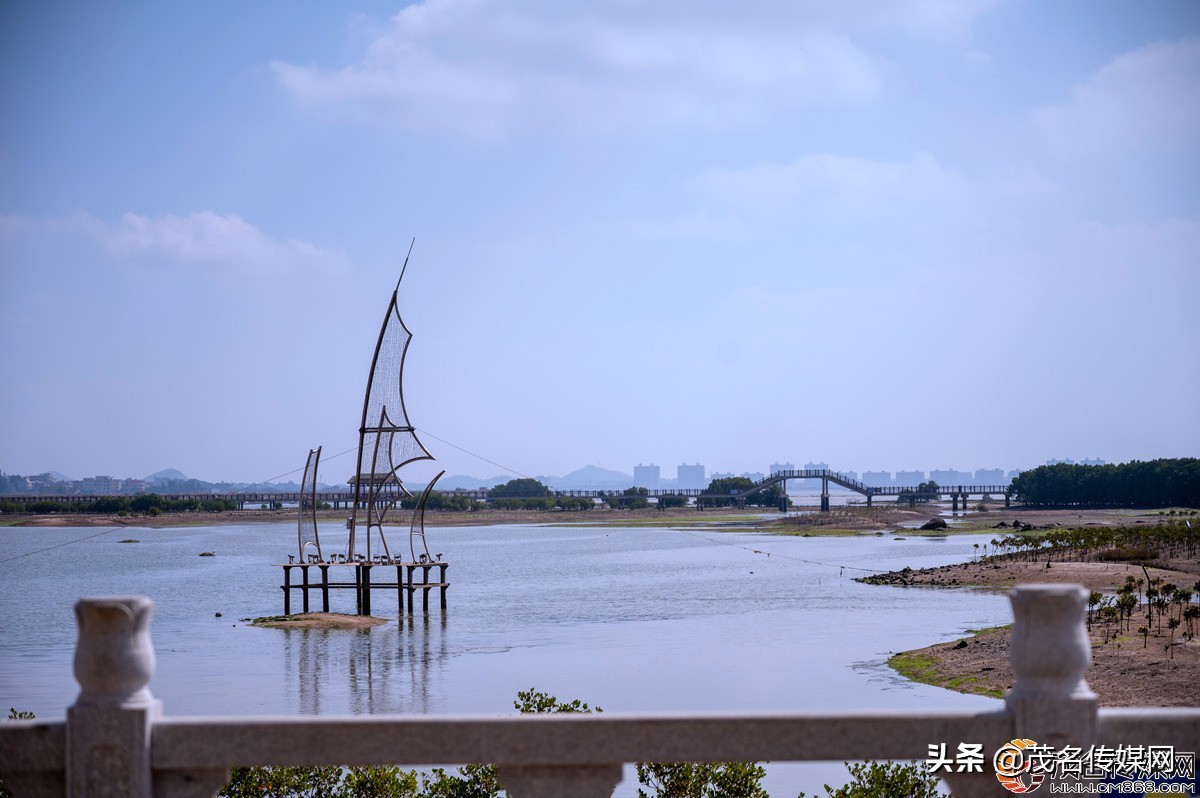 电白在崛起！——2021网络媒体看滨海（电白）采风活动