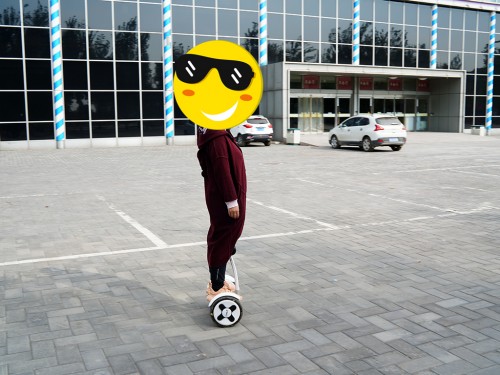 买菜遛狗车,买菜智能平衡车