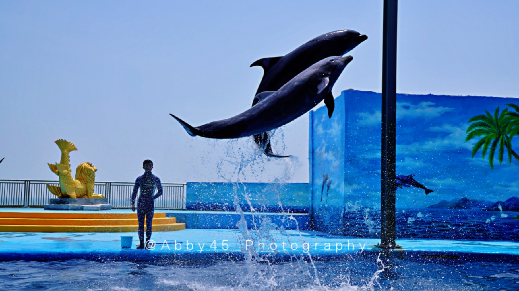 石狮海洋世界和厦门海底世界,泉州石狮海洋世界官方号视频